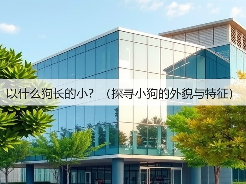 以什么狗长的小？（探寻小狗的外貌与特征）