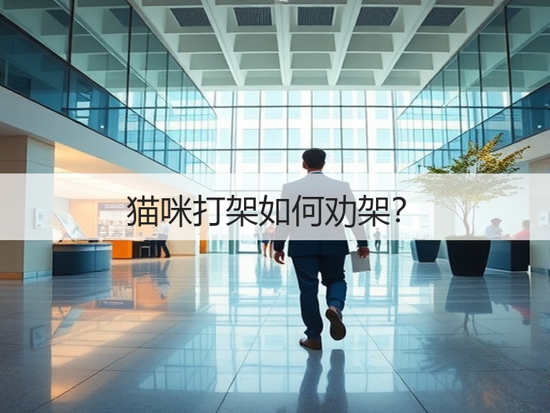 猫咪打架如何劝架？