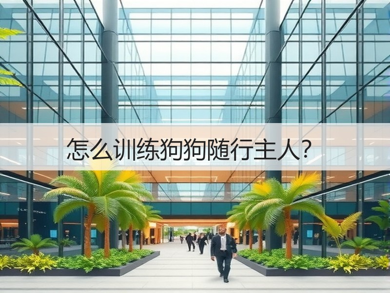 怎么训练狗狗随行主人？