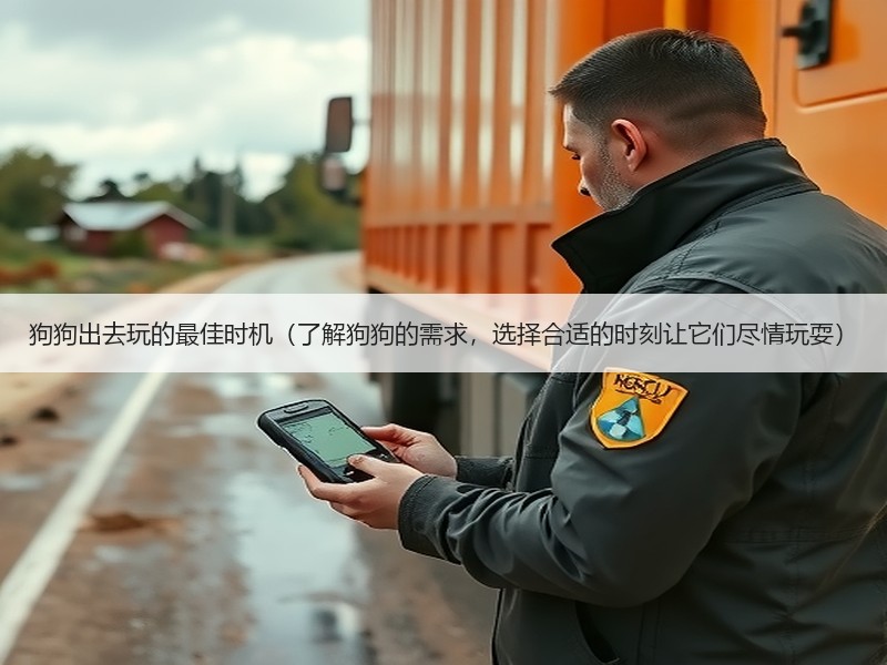 狗狗出去玩的最佳时机（了解狗狗的需求，选择合适的时刻让它们尽情玩耍）