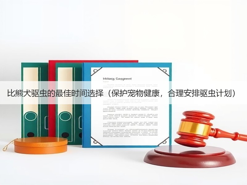 比熊犬驱虫的最佳时间选择（保护宠物健康，合理安排驱虫计划）