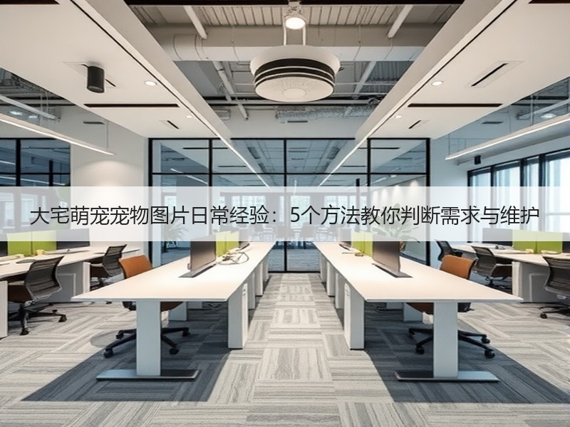 大宅萌宠宠物图片日常经验：5个方法教你判断需求与维护