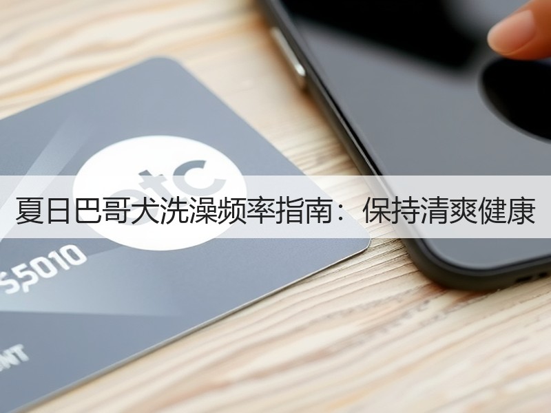 夏日巴哥犬洗澡频率指南：保持清爽健康