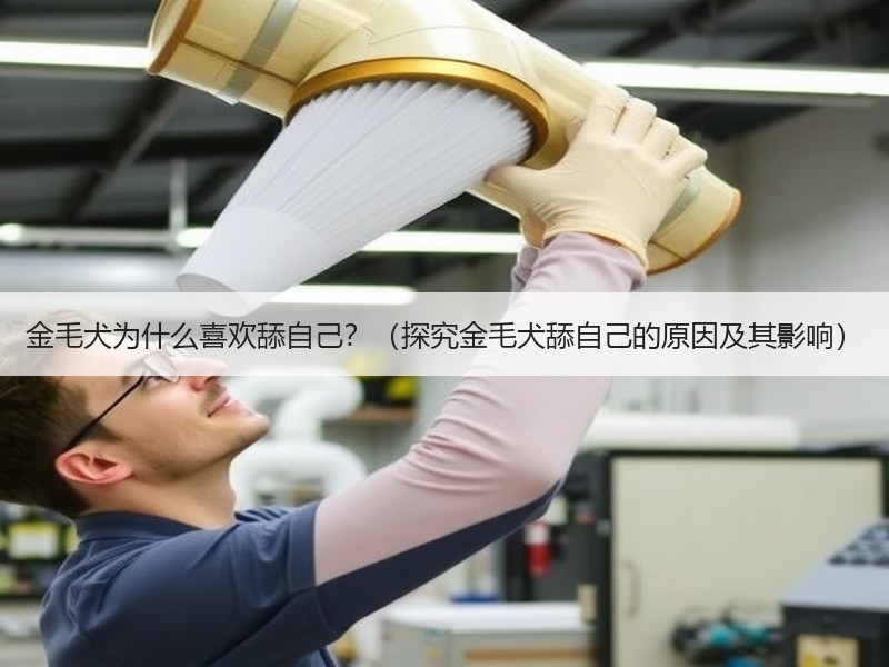 金毛犬为什么喜欢舔自己？（探究金毛犬舔自己的原因及其影响）