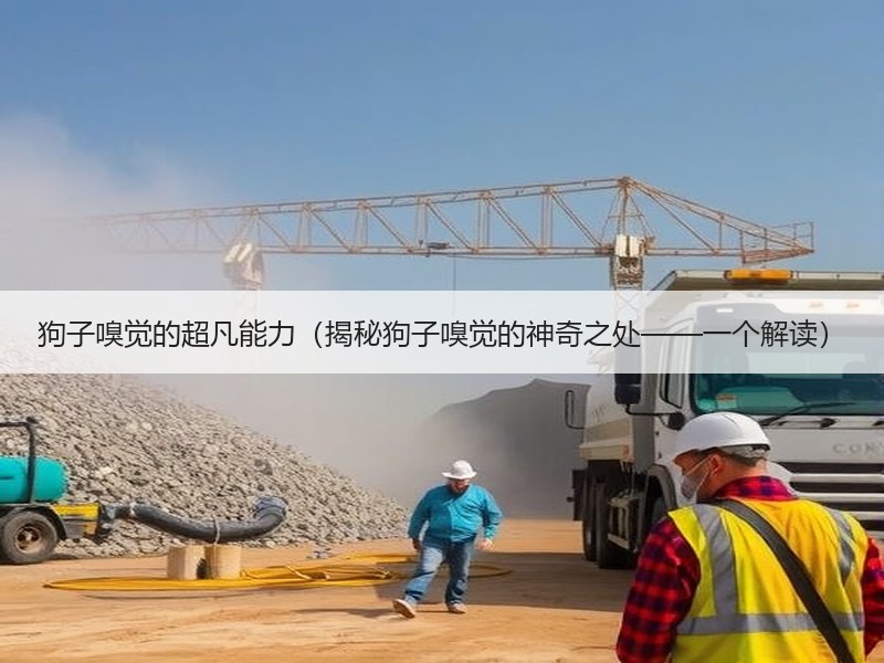 狗子嗅觉的超凡能力（揭秘狗子嗅觉的神奇之处——一个解读）