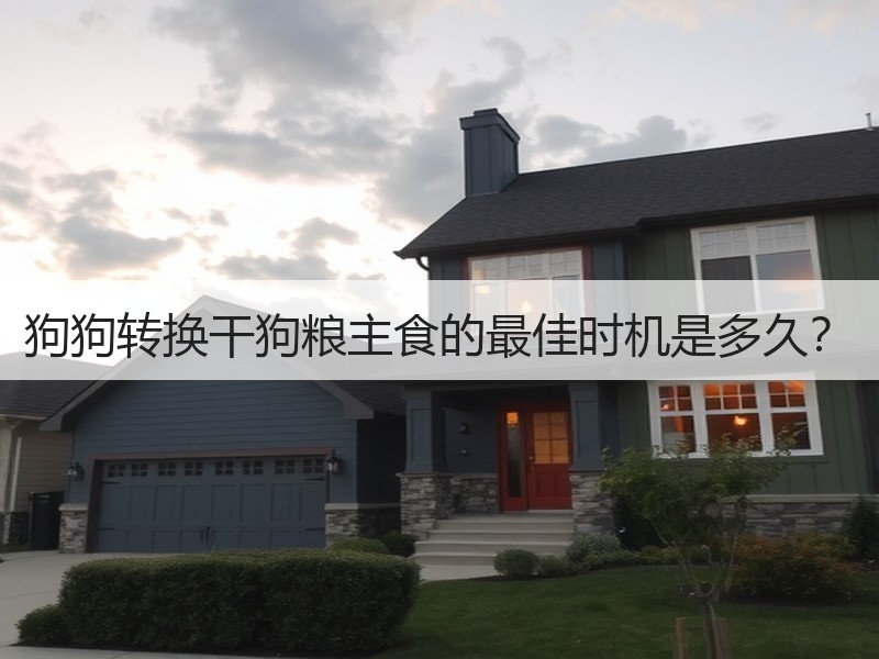 狗狗转换干狗粮主食的最佳时机是多久？