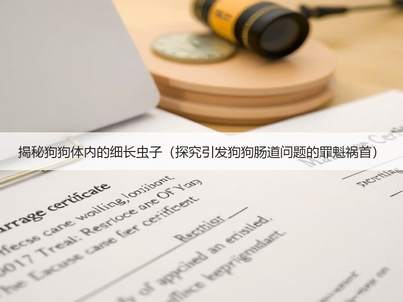 揭秘狗狗体内的细长虫子（探究引发狗狗肠道问题的罪魁祸首）