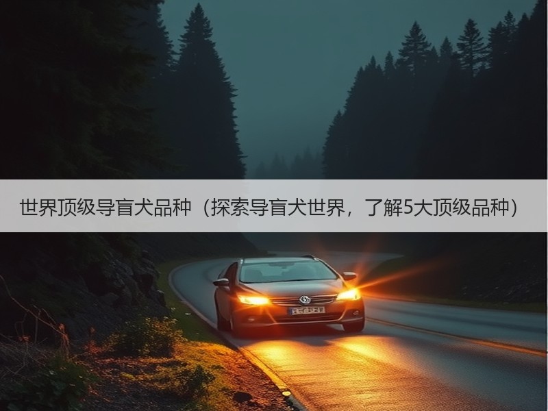 世界顶级导盲犬品种（探索导盲犬世界，了解5大顶级品种）