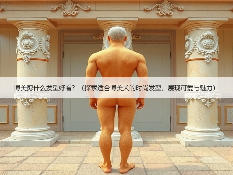 博美剪什么发型好看？（探索适合博美犬的时尚发型，展现可爱与魅力）
