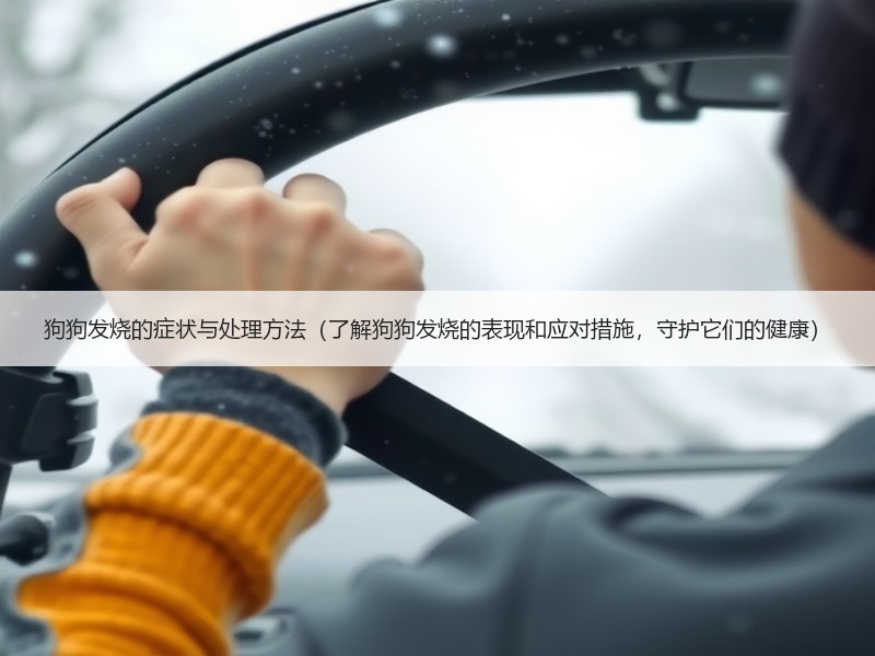 狗狗发烧的症状与处理方法（了解狗狗发烧的表现和应对措施，守护它们的健康）