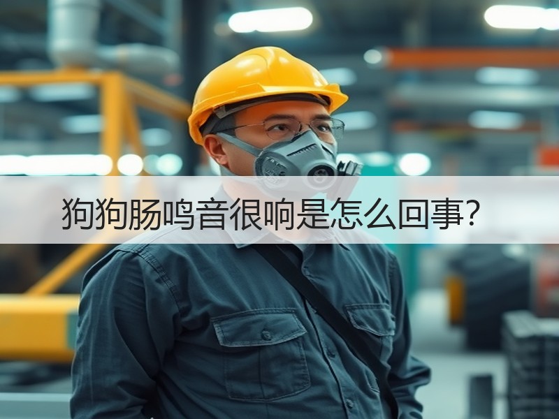 狗狗肠鸣音很响是怎么回事？