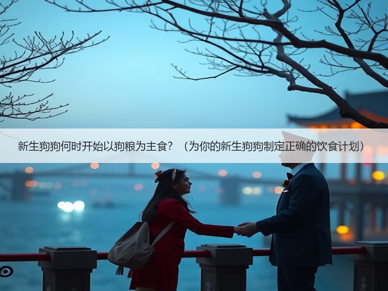 新生狗狗何时开始以狗粮为主食？（为你的新生狗狗制定正确的饮食计划）