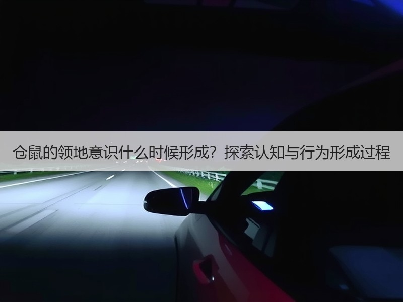 仓鼠的领地意识什么时候形成？探索认知与行为形成过程