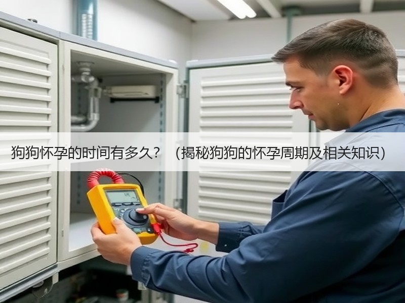 狗狗怀孕的时间有多久？（揭秘狗狗的怀孕周期及相关知识）