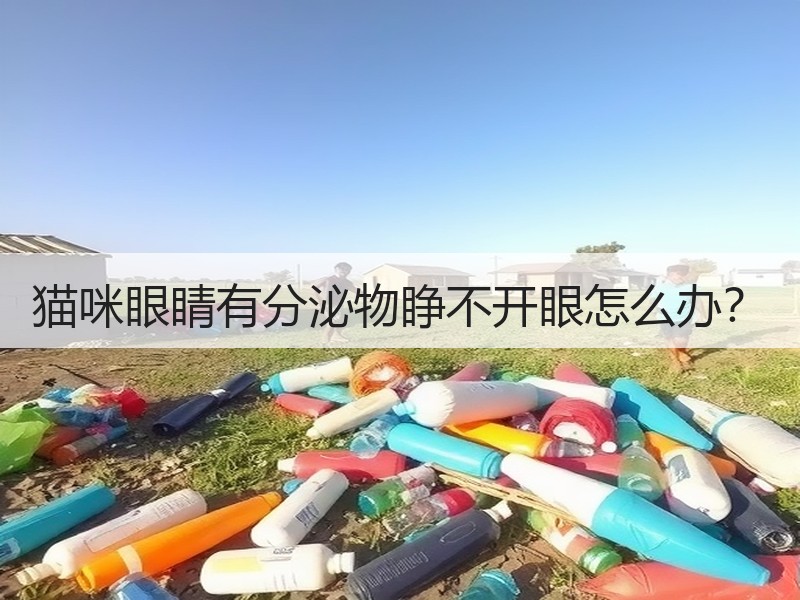 猫咪眼睛有分泌物睁不开眼怎么办？