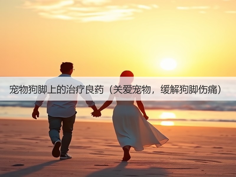 宠物狗脚上的治疗良药（关爱宠物，缓解狗脚伤痛）