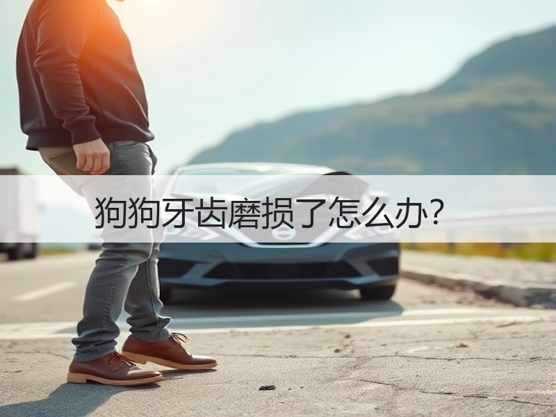 狗狗牙齿磨损了怎么办？