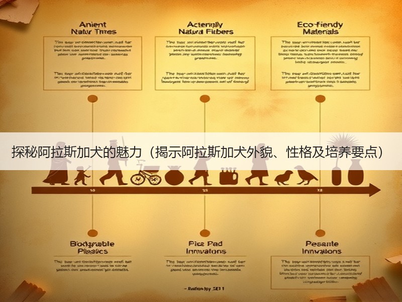 探秘阿拉斯加犬的魅力（揭示阿拉斯加犬外貌、性格及培养要点）