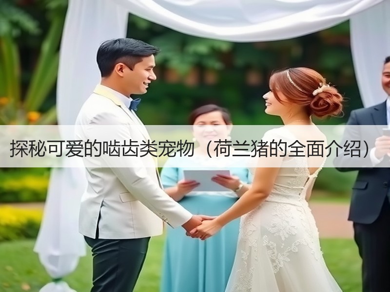 探秘可爱的啮齿类宠物（荷兰猪的全面介绍）