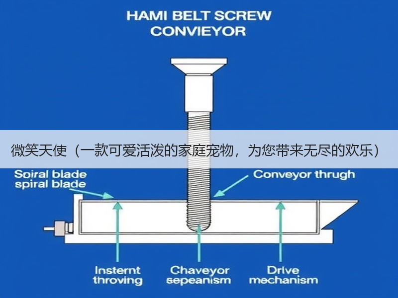 微笑天使（一款可爱活泼的家庭宠物，为您带来无尽的欢乐）