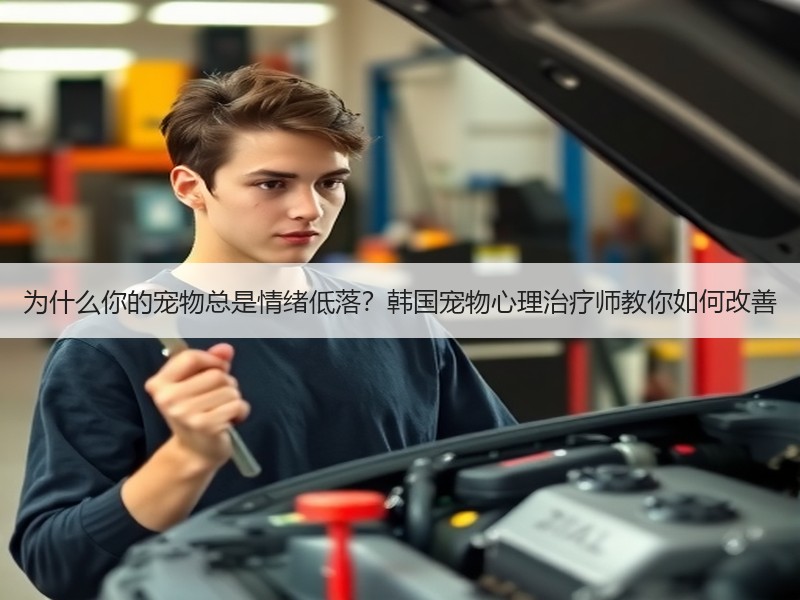 为什么你的宠物总是情绪低落？韩国宠物心理治疗师教你如何改善