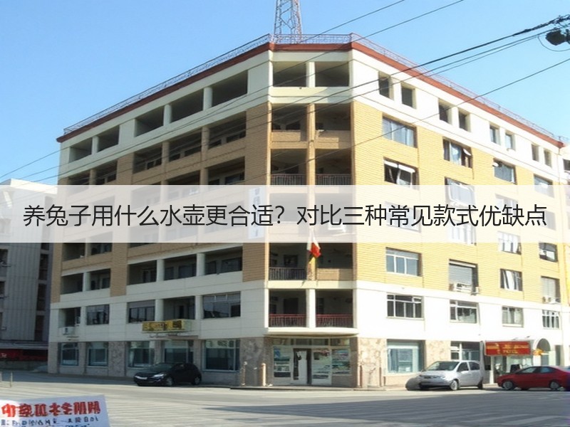 养兔子用什么水壶更合适？对比三种常见款式优缺点