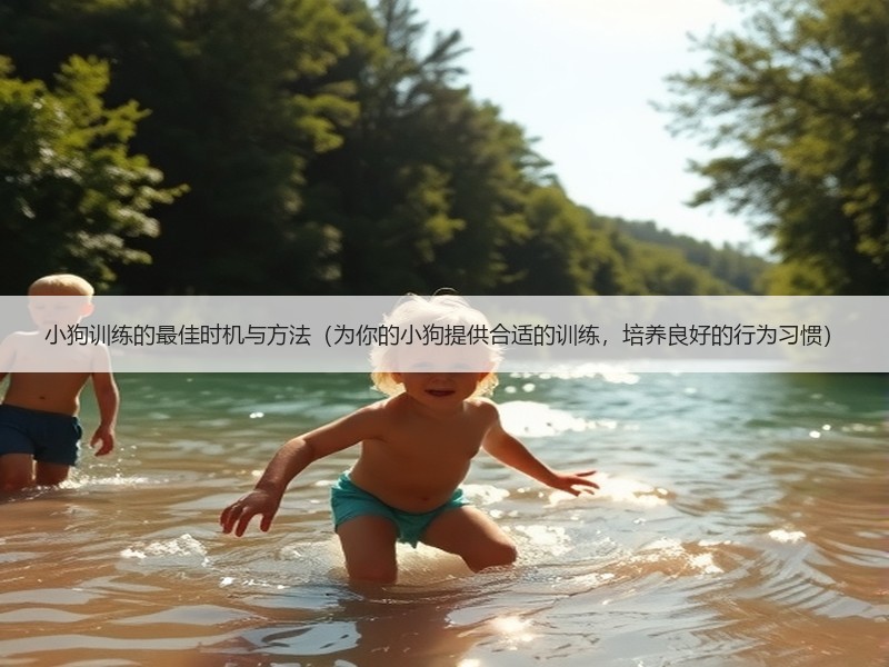 小狗训练的最佳时机与方法（为你的小狗提供合适的训练，培养良好的行为习惯）