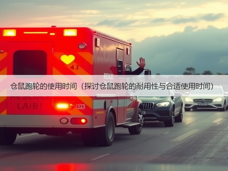 仓鼠跑轮的使用时间（探讨仓鼠跑轮的耐用性与合适使用时间）