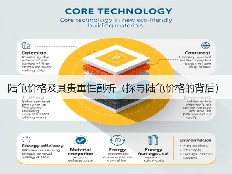 陆龟价格及其贵重性剖析（探寻陆龟价格的背后）