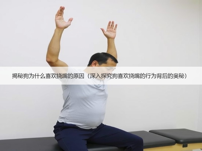 揭秘狗为什么喜欢挠嘴的原因（深入探究狗喜欢挠嘴的行为背后的奥秘）