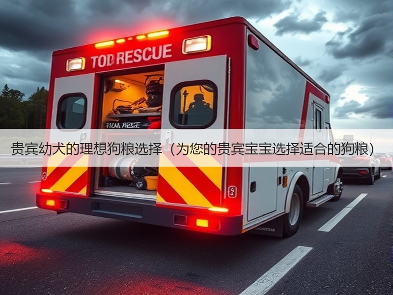 贵宾幼犬的理想狗粮选择（为您的贵宾宝宝选择适合的狗粮）