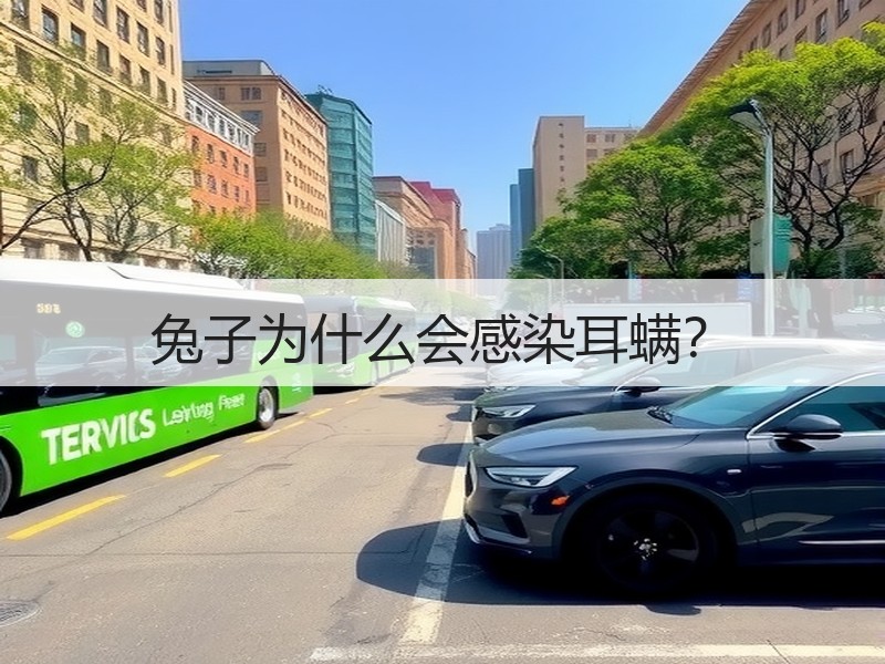 兔子为什么会感染耳螨？