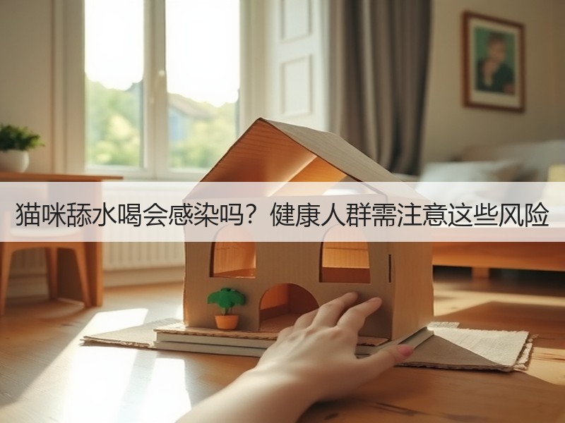 猫咪舔水喝会感染吗？健康人群需注意这些风险