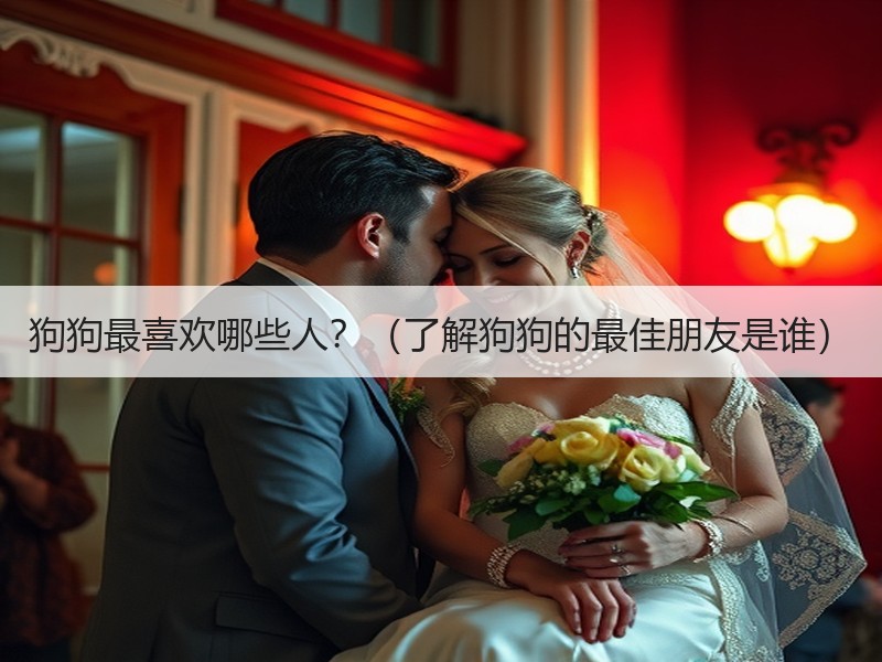 狗狗最喜欢哪些人？（了解狗狗的最佳朋友是谁）