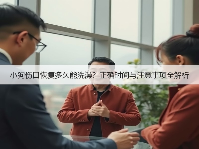 小狗伤口恢复多久能洗澡？正确时间与注意事项全解析