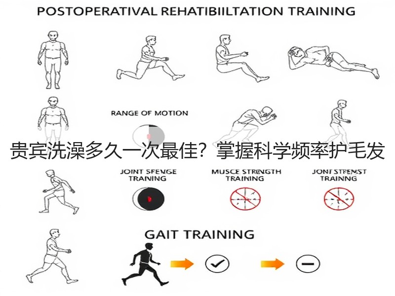 贵宾洗澡多久一次最佳？掌握科学频率护毛发