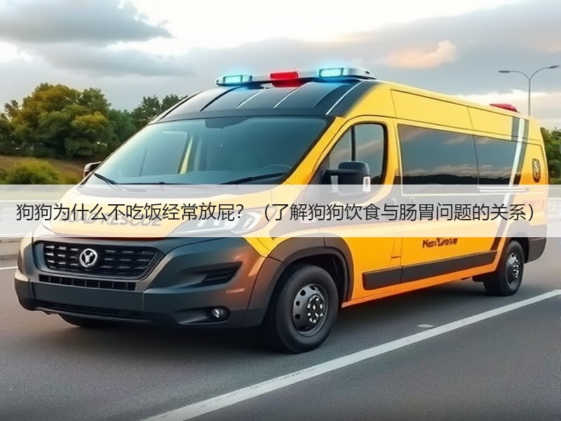 狗狗为什么不吃饭经常放屁？（了解狗狗饮食与肠胃问题的关系）
