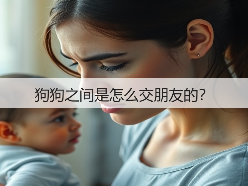 狗狗之间是怎么交朋友的？