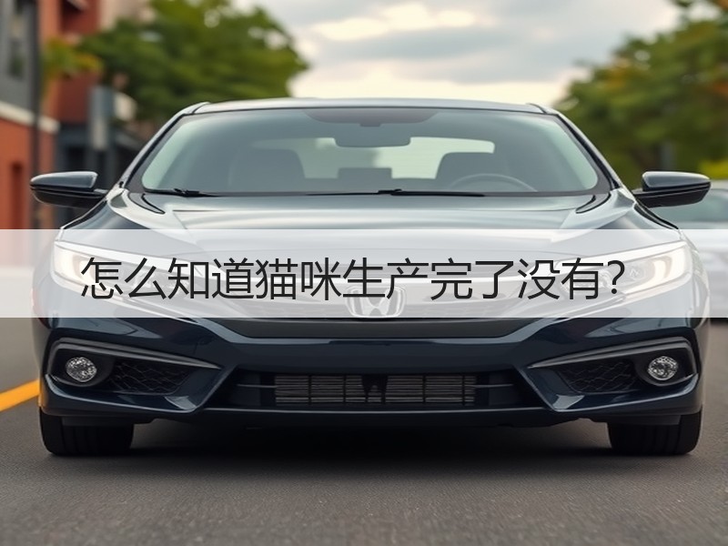 怎么知道猫咪生产完了没有？