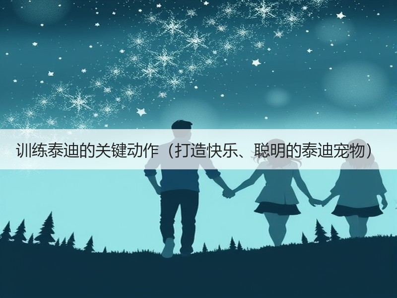 训练泰迪的关键动作（打造快乐、聪明的泰迪宠物）