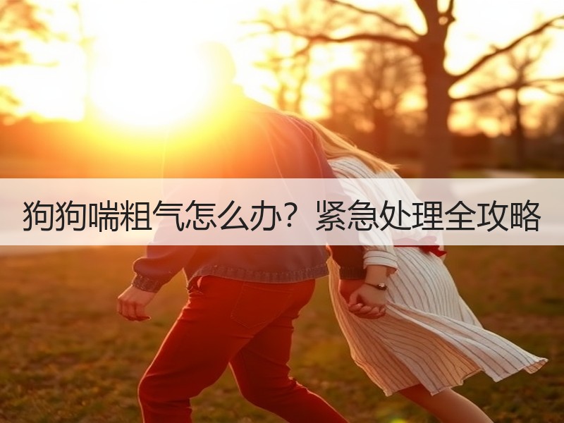 狗狗喘粗气怎么办？紧急处理全攻略