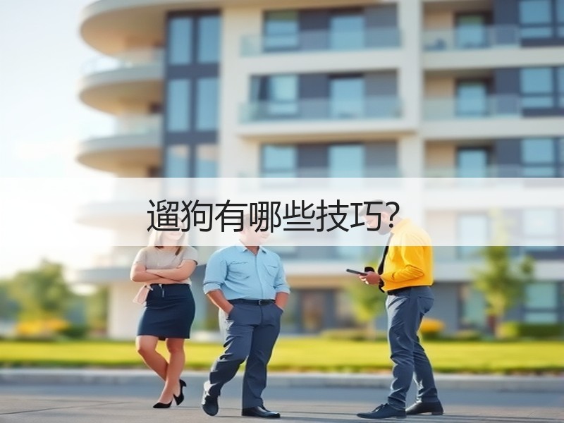 遛狗有哪些技巧？