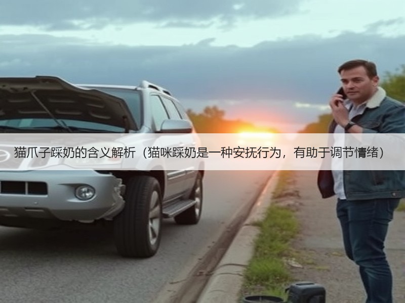 猫爪子踩奶的含义解析（猫咪踩奶是一种安抚行为，有助于调节情绪）