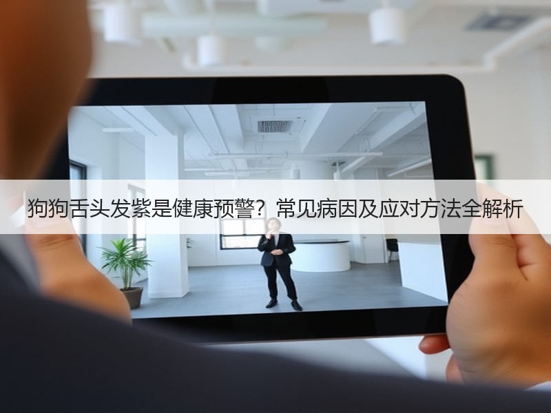 狗狗舌头发紫是健康预警？常见病因及应对方法全解析