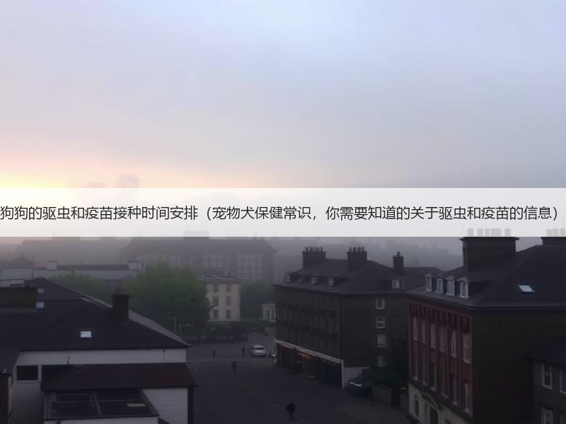 狗狗的驱虫和疫苗接种时间安排（宠物犬保健常识，你需要知道的关于驱虫和疫苗的信息）