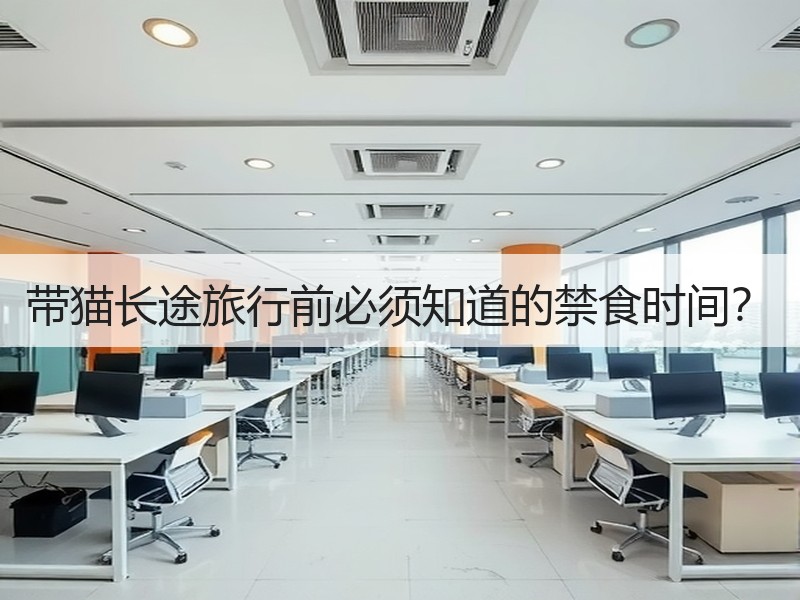 带猫长途旅行前必须知道的禁食时间？