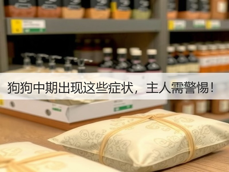 狗狗中期出现这些症状，主人需警惕！