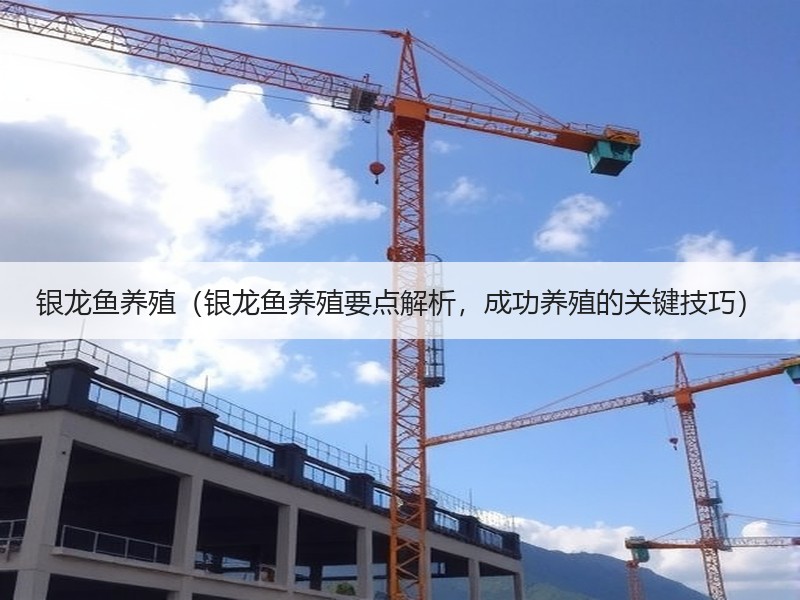 银龙鱼养殖（银龙鱼养殖要点解析，成功养殖的关键技巧）