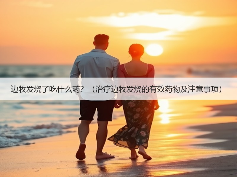 边牧发烧了吃什么药？（治疗边牧发烧的有效药物及注意事项）