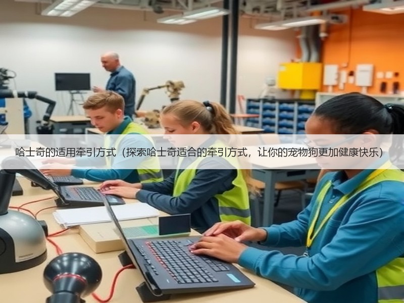 哈士奇的适用牵引方式（探索哈士奇适合的牵引方式，让你的宠物狗更加健康快乐）